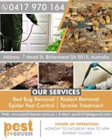 Spider Pest Control Adelaide | Pest 24 seven image 1